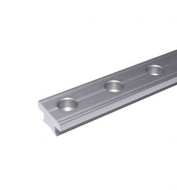 Antal T Track 40 x 8 50 mm Holes Spacing Silver - 1 m