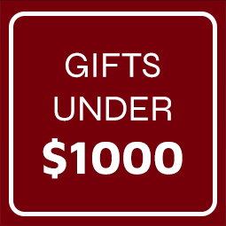 Gift Guide Under $1000