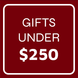 Gift Guide Under $250